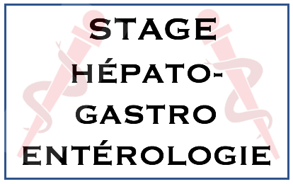 Hepato Gastro Enterologie Entraide Esi Ide