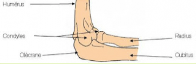 Archives Des Fracture ENTRAIDE ESI IDE