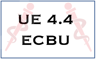 Examen cytobactériologique des urines (ECBU) - ENTRAIDE ESI IDE